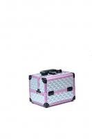 TARTISO Бьюти-кейс СЕРЕБРО с зеркалом 23x16x18 cм. TARTISO Бьюти-кейс СЕРЕБРО с зеркалом 23x16x18 cм.