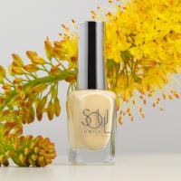 Soul Nails Лак для ногтей Peachy Pastels №202 10,5 мл.