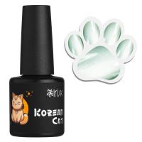 IRISK гель-лак кошачий глаз Korean Cat 06 10 мл. IRISK гель-лак кошачий глаз Korean Cat 06 10 мл.