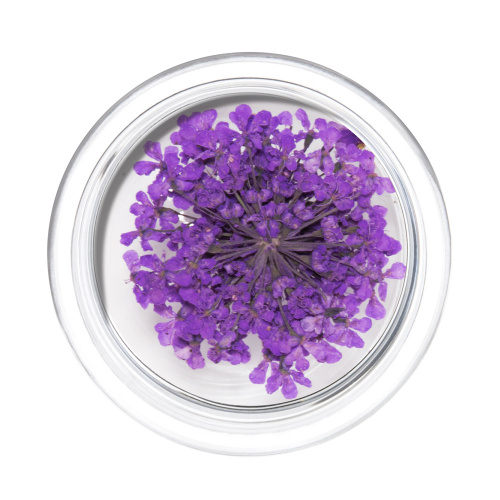 IRISK Сухоцветы в баночке 014 Зонтики фиолетовые
