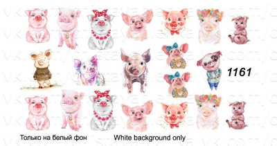 Слайдер дизайн АРТ Слайдер 1161