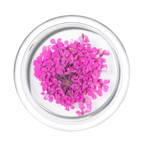 IRISK Сухоцветы в баночке 004 Зонтики розовые