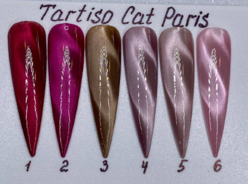 TARTISO PARIS магнитный гель-лак 03 15 мл.