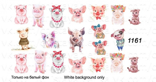 Слайдер дизайн АРТ Слайдер 1161