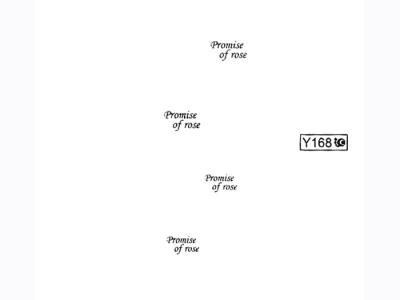 Nails Переводные картинки Y1BHY168