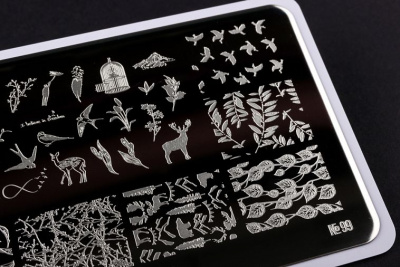 Go Stamp Пластина для стемпинга 99 Early Bird by @Golikova.christina