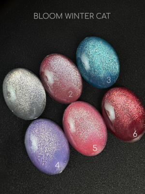 Bloom гель-лак Winter cat 01 8 мл.