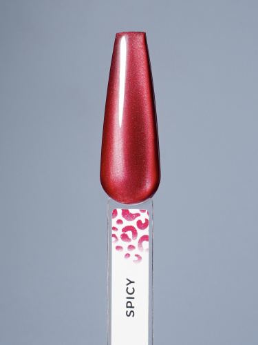 MoodNail Гель-лак Silk Cat Spicy 10 г.