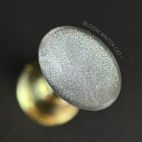 Bloom гель-лак Winter cat 01 8 мл.