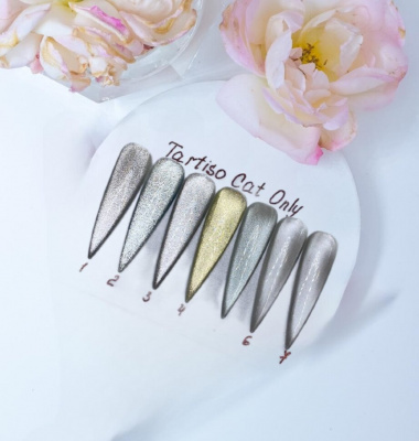 TARTISO ONLY SILVER магнитный гель-лак 07 10 мл.