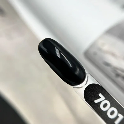 Patrisa Nail Однофазный гель-лак One Step №7001 8 мл.