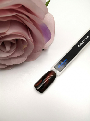 Bloom гель-лак Magic cat №10 8 мл.