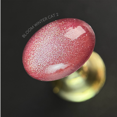 Bloom гель-лак Winter cat 02 8 мл.