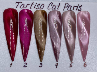 TARTISO PARIS магнитный гель-лак 01 15 мл.