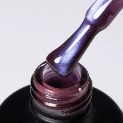 IRISK гель-лак кошачий глаз Korean Cat 25 Черника (Fruit) 10 мл. IRISK гель-лак кошачий глаз Korean Cat 25 Черника (Fruit) 10 мл.