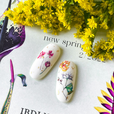IBDI NAILS Слайдер дизайн COLORFUL 161