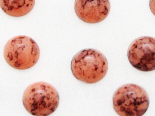 Камни для украшений Y1CL403 (светло-оранжевый)